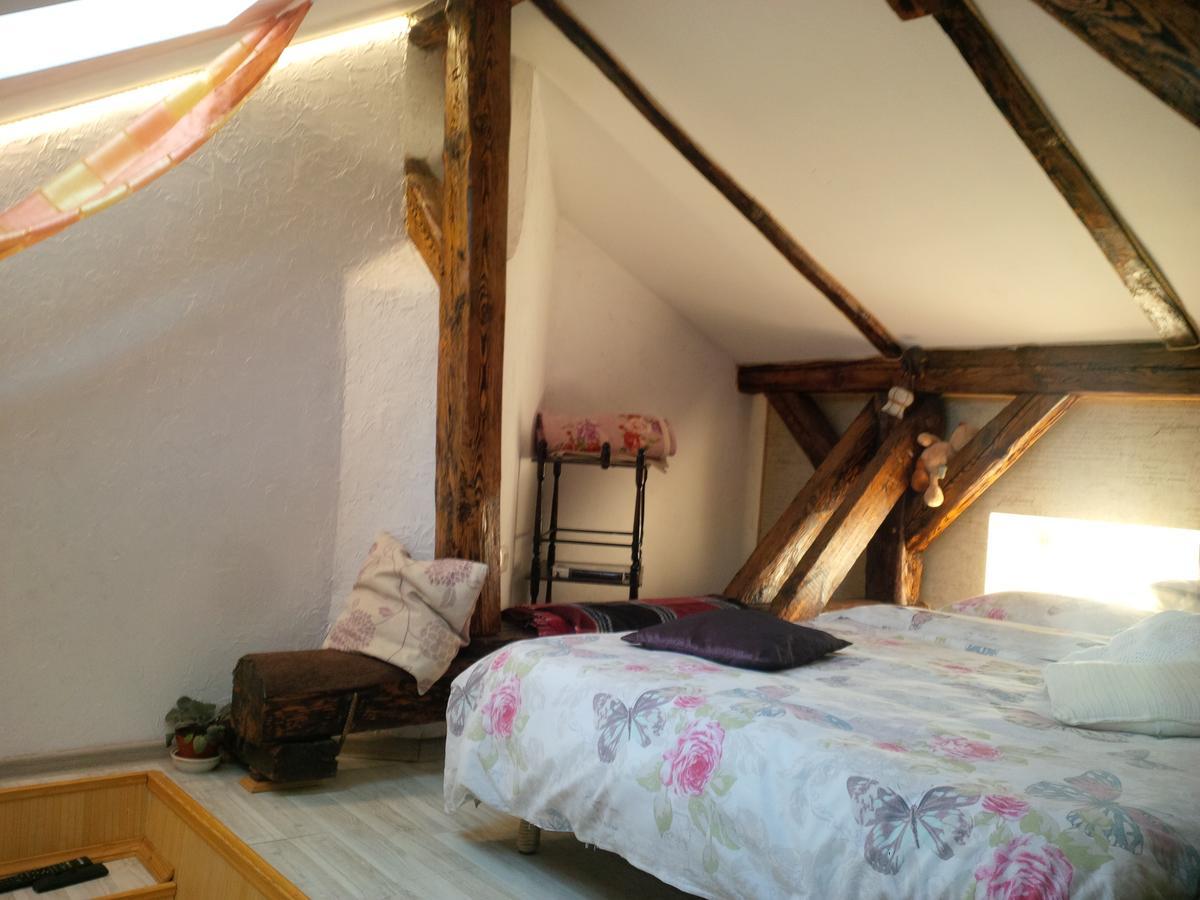 Lviv Amazing Rooftop Apartment Экстерьер фото