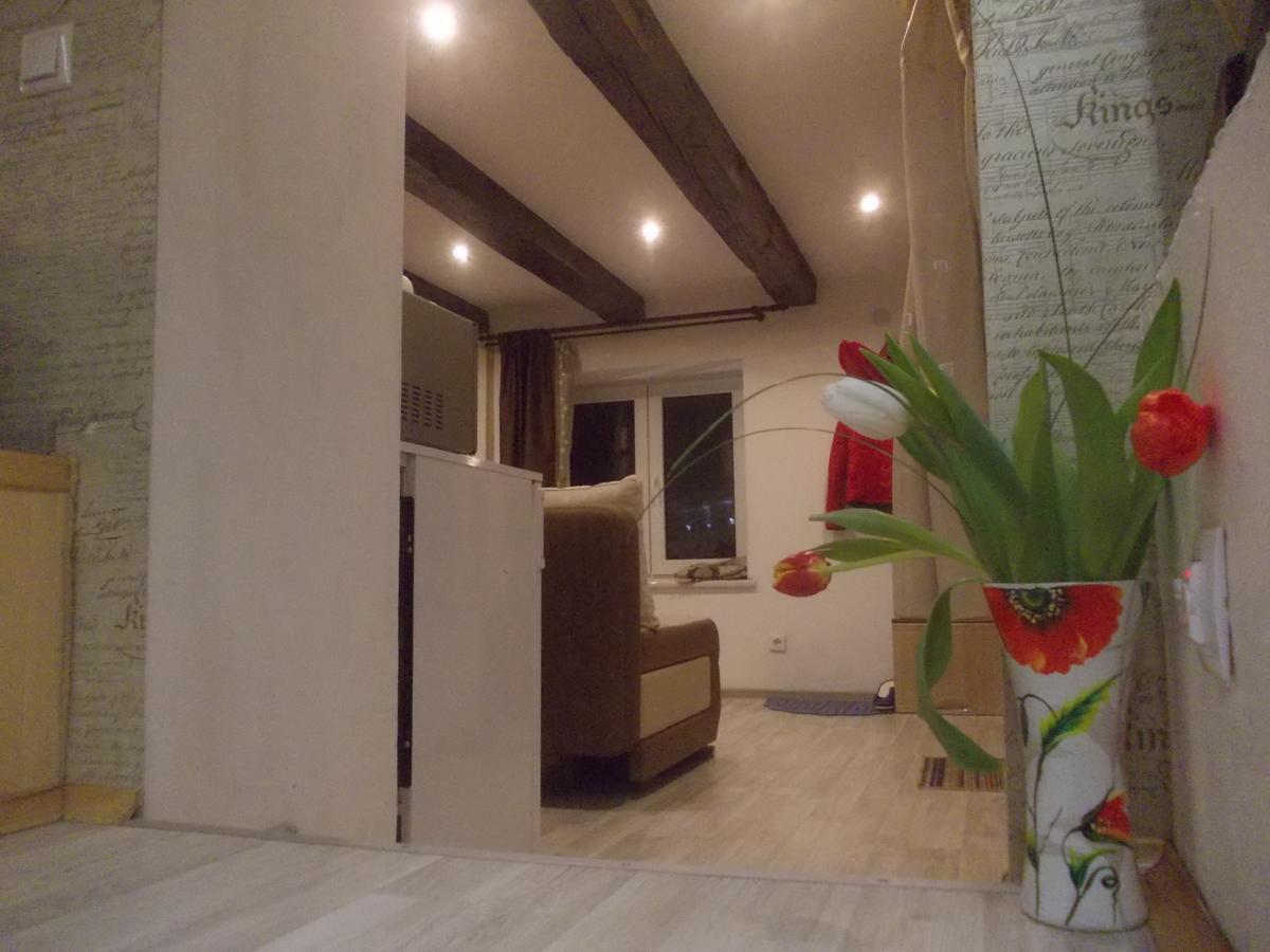 Lviv Amazing Rooftop Apartment Экстерьер фото